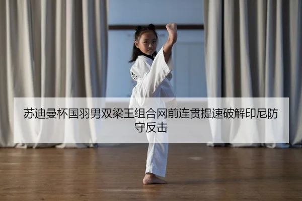 su-di-man-bei-guo-yu-nan-shuang-liang-wang-zu-he-wang-qian-lian-guan-ti-su-po-jie-yin-ni-fang-shou-fan-ji-2-777.jpg